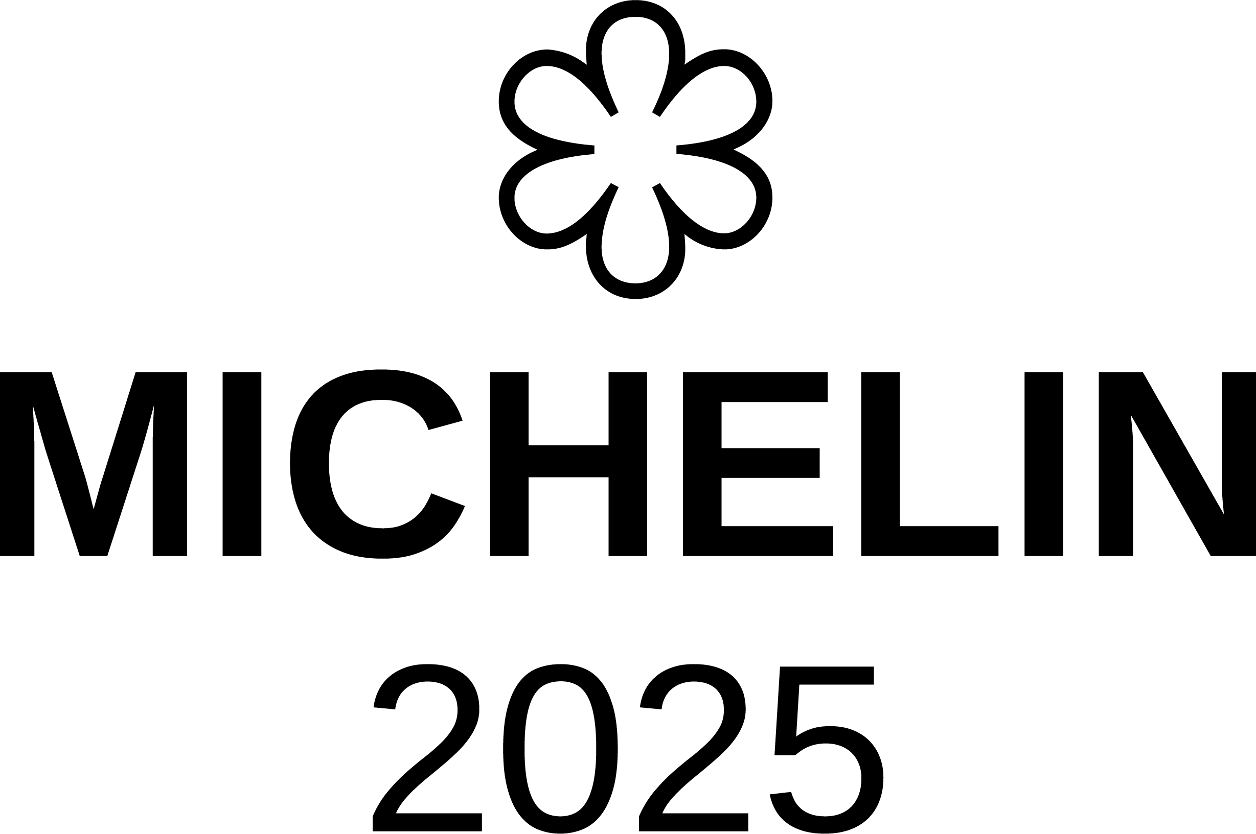 Michelin 1 étoile partenaire