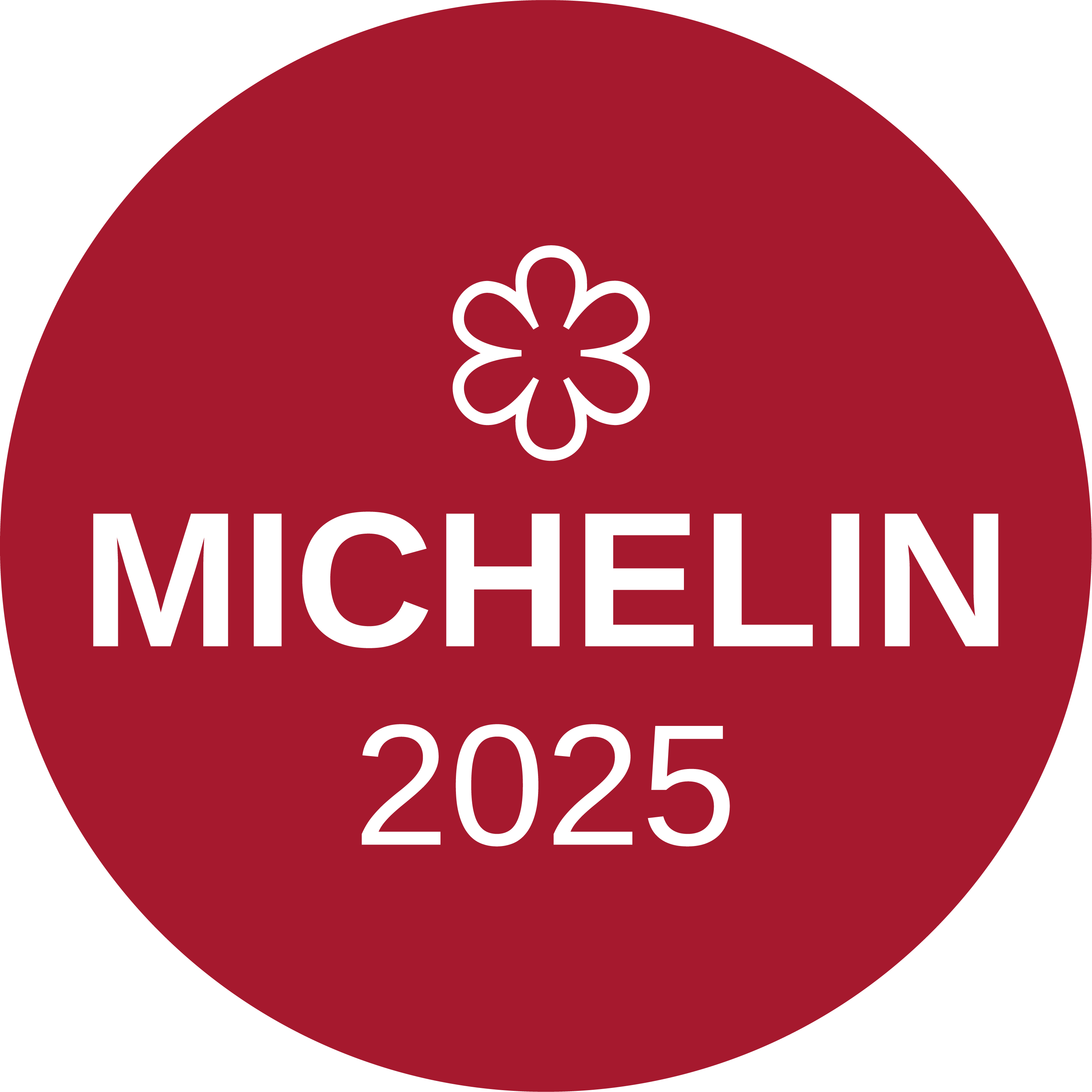 Michelin 1 étoile partenaire